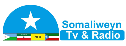 Somaliweyn