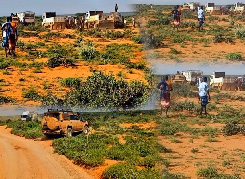 Savage Terrorist-Driven Attacks Target Nomadic Pastoralists in Buqdharkeyn Village , Somaliland’s Sool Region