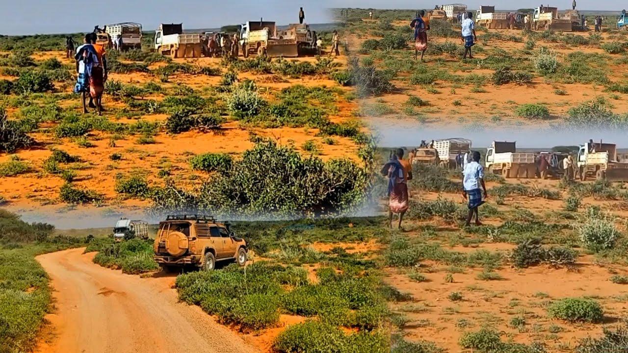 Savage Terrorist-Driven Attacks Target Nomadic Pastoralists in Buqdharkeyn Village , Somaliland’s Sool Region