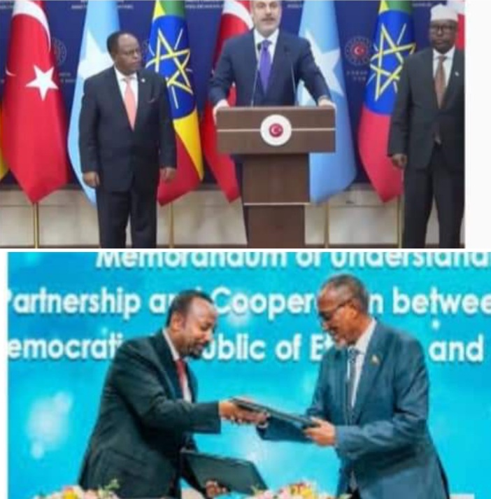 Saddax Su’aal Jawiya iga Shaafiya.( Turkiga waxay Ethiopia ku maal galisay $ 2.5 Billion, Somaliyana $ 250 Million)!!!.